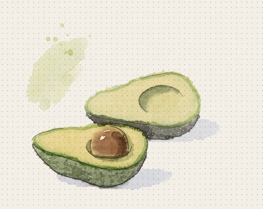 An avocado cut in two halves, the stone in one, in watercolor and ink.