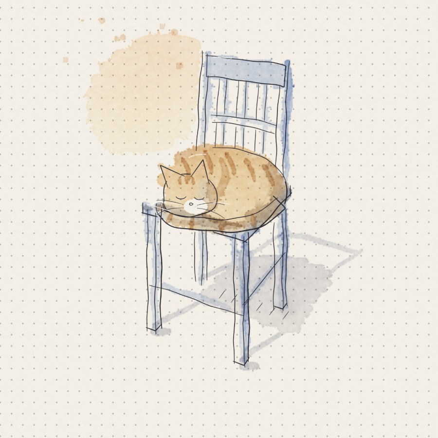 A sleeping cat, curled up, in watercolor and ink.